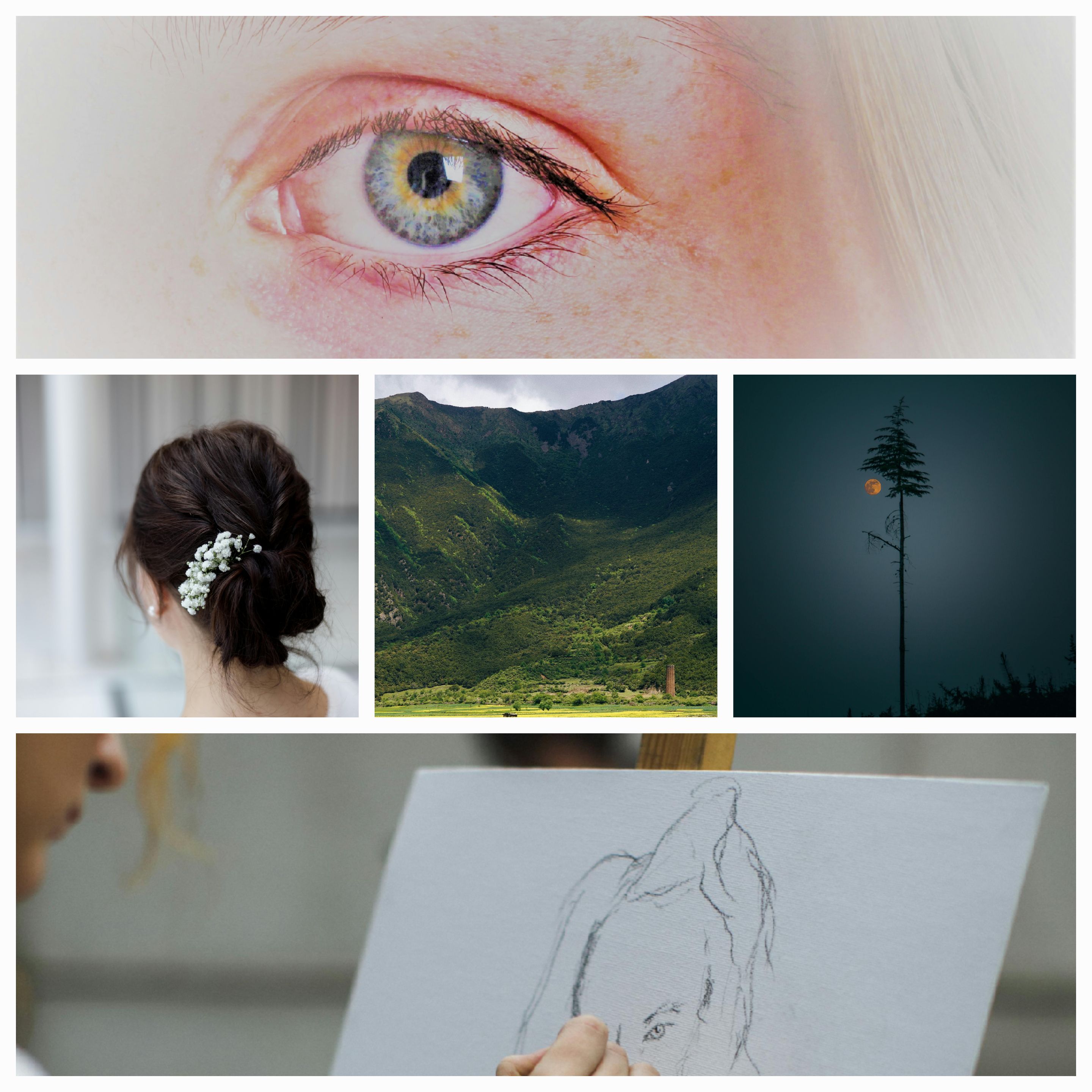 Echoes of Home: A Tale of Sisterhood, Redemption, and Healing in Coorg