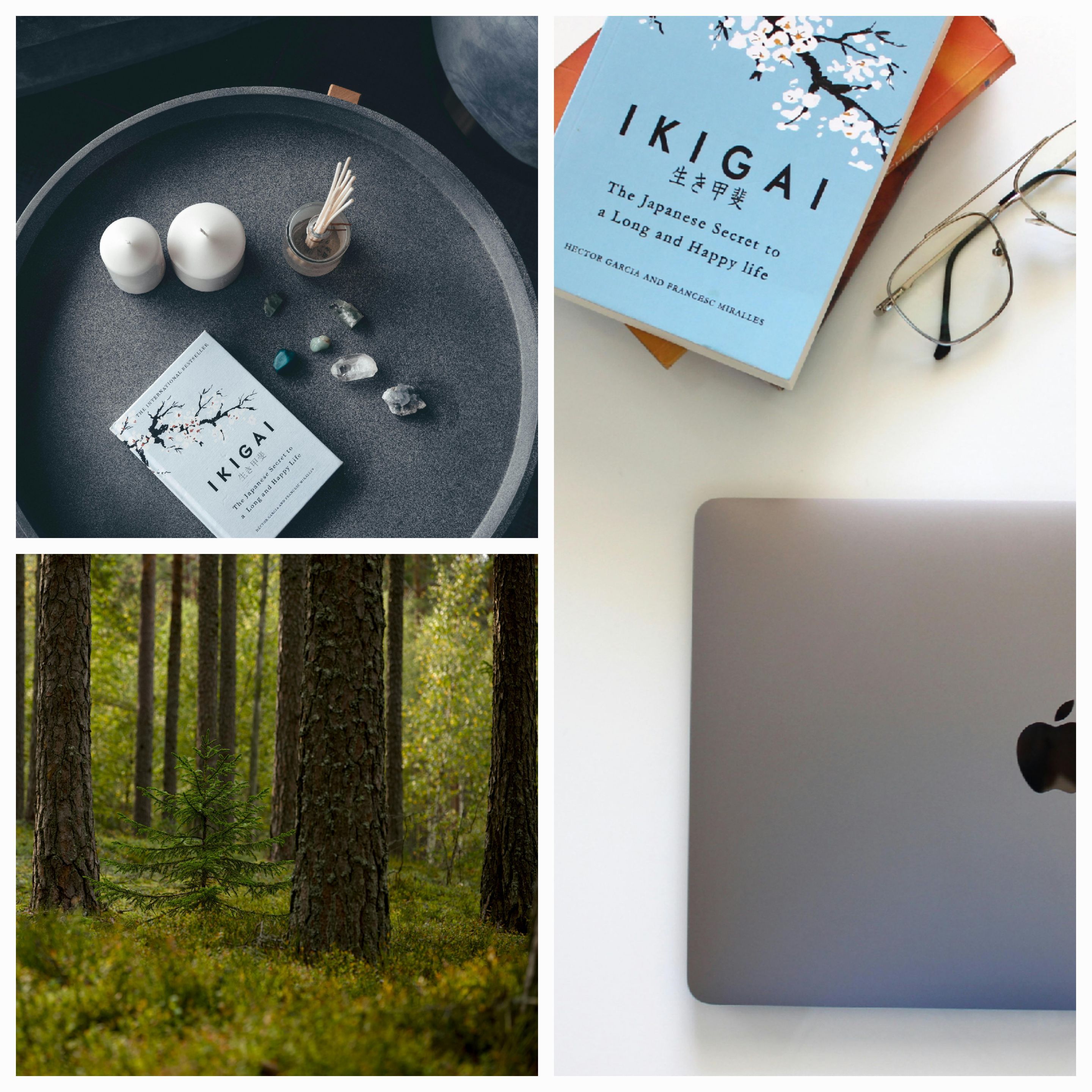 Explore ‘Ikigai’ by Hector Garcia: Discover the Japanese Secret to a Long and Happy Life