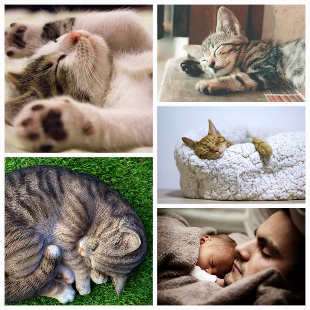 Unlock the Power of Restorative Sleep: Comprehensive Guide to Better Health and Well-Being #RestorativeSleep