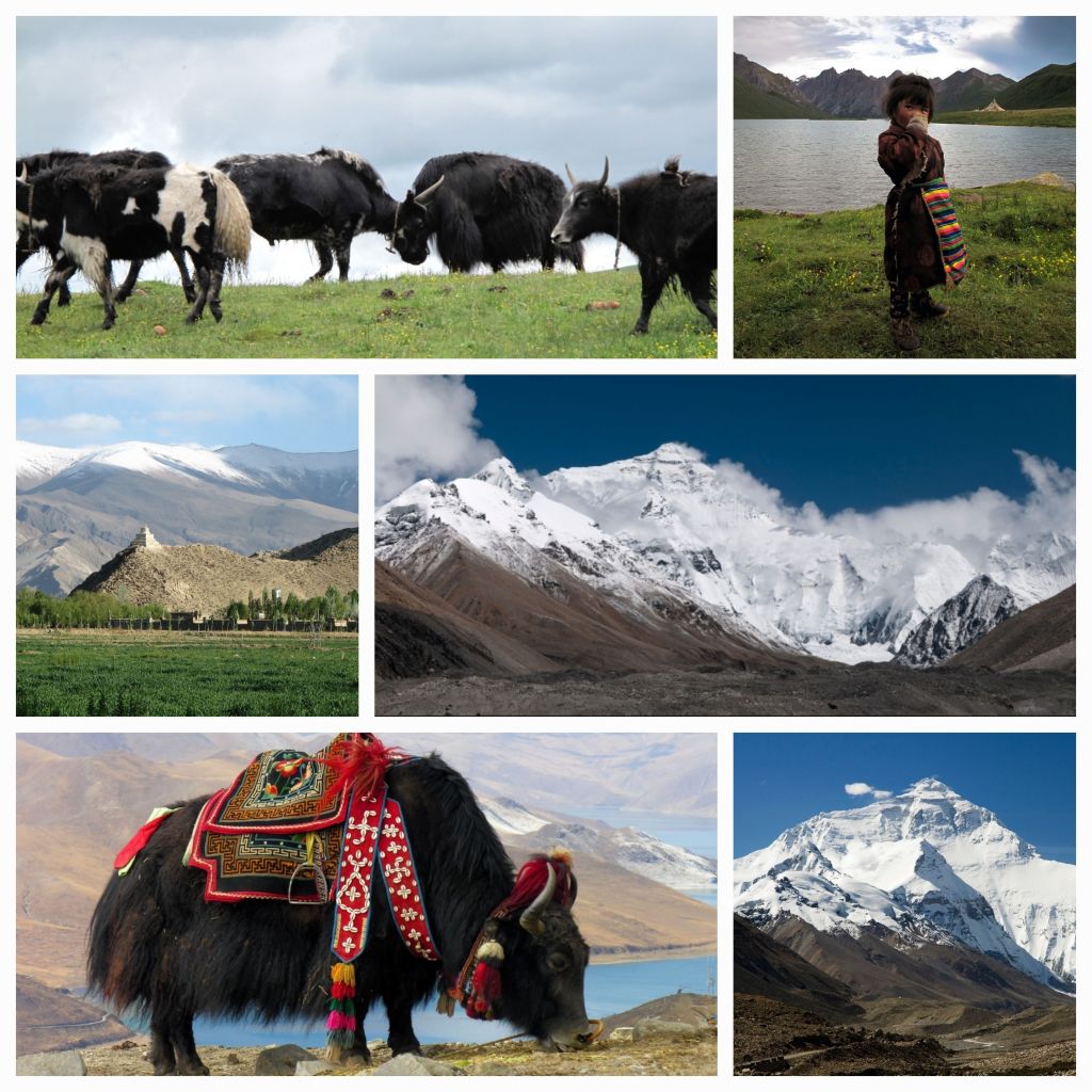 From Gamagou to Everest Base Camp: A Young Woman’s Journey Through Tibet and Nepal’s Most Scenic&nbsp;Trails