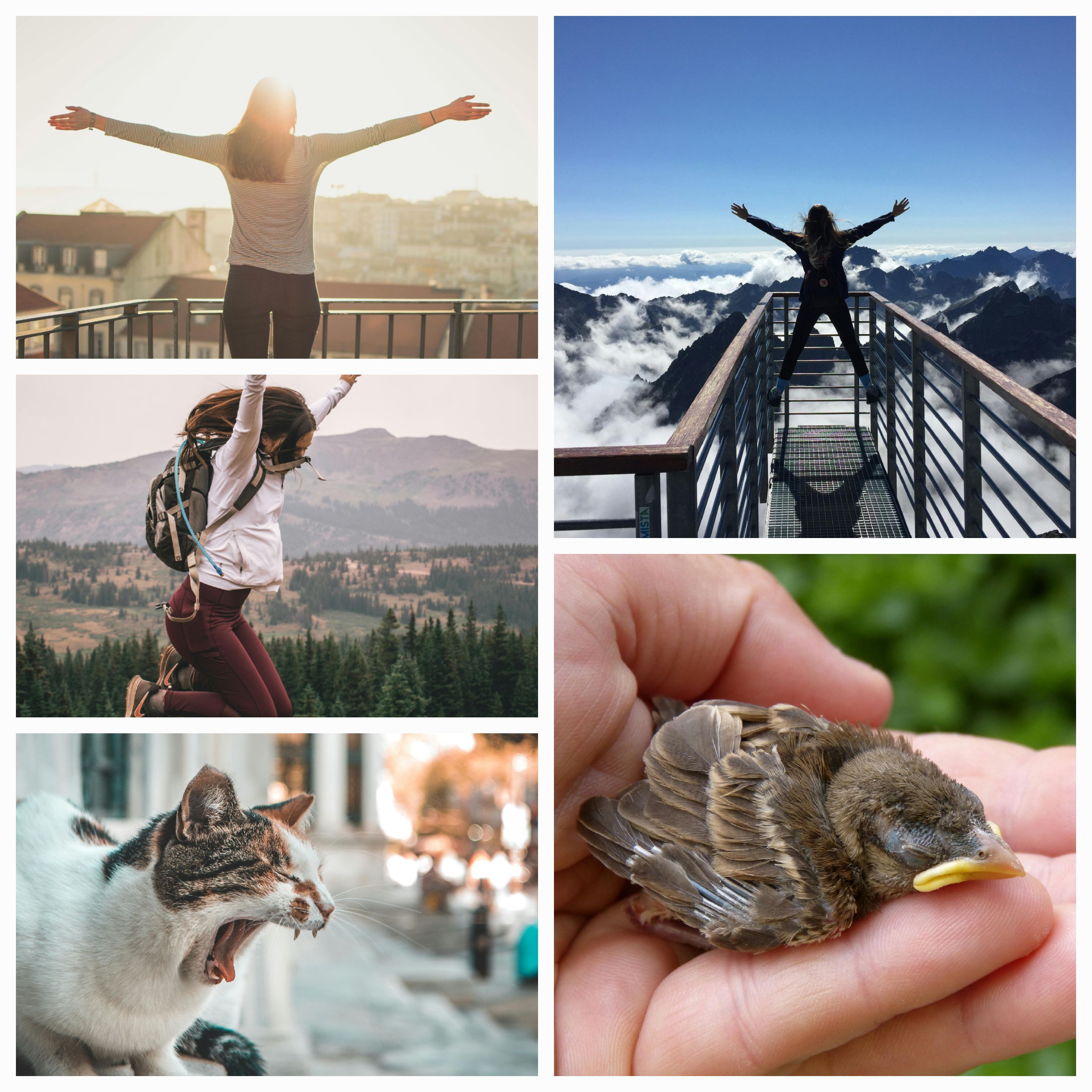 Exploring Life’s Intersections: Philosophy, History, Science, and Existentialism in the Quest for Meaning