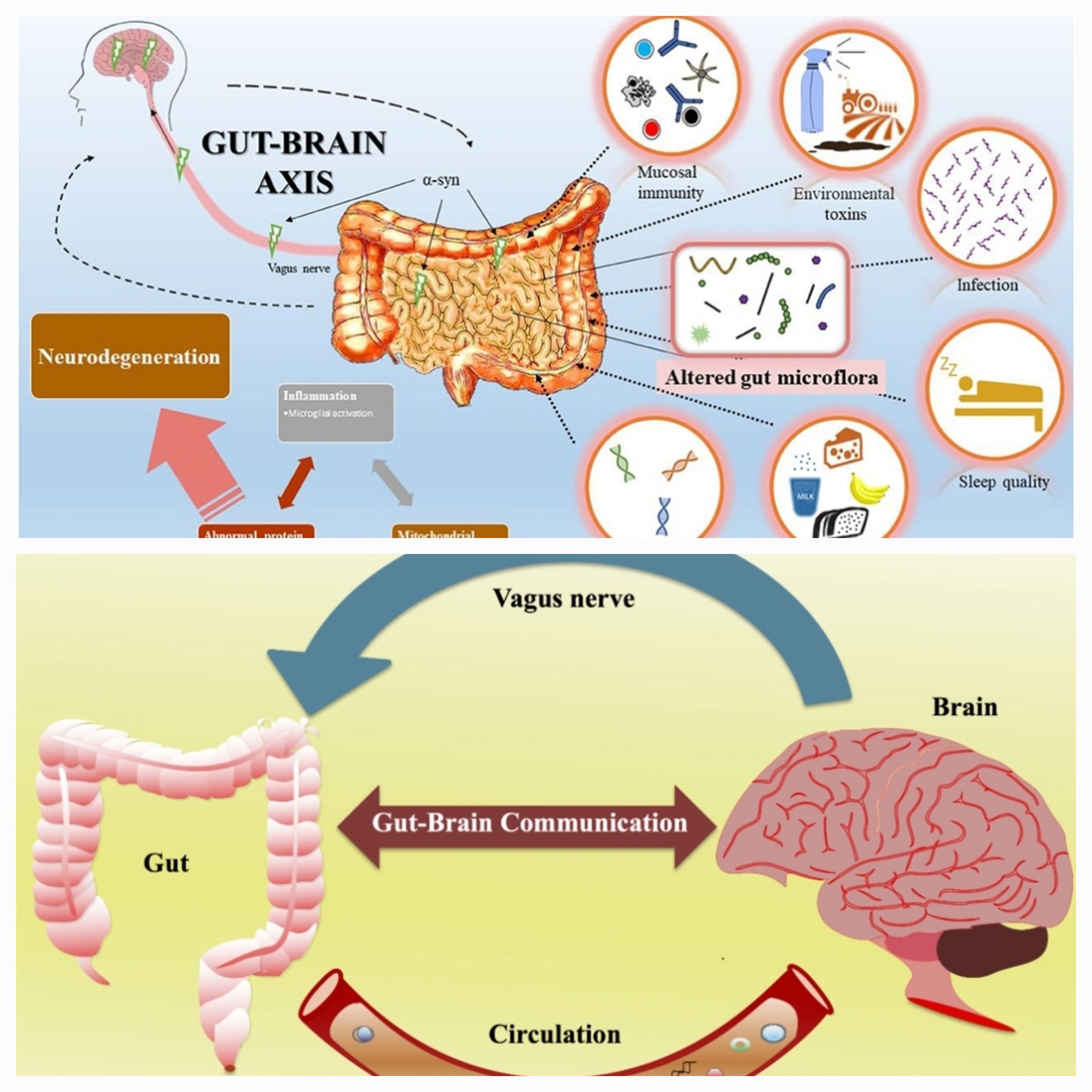Why Gut Feelings Are Misleading: The Illogical Truth Behind Our Instinctive Beliefs