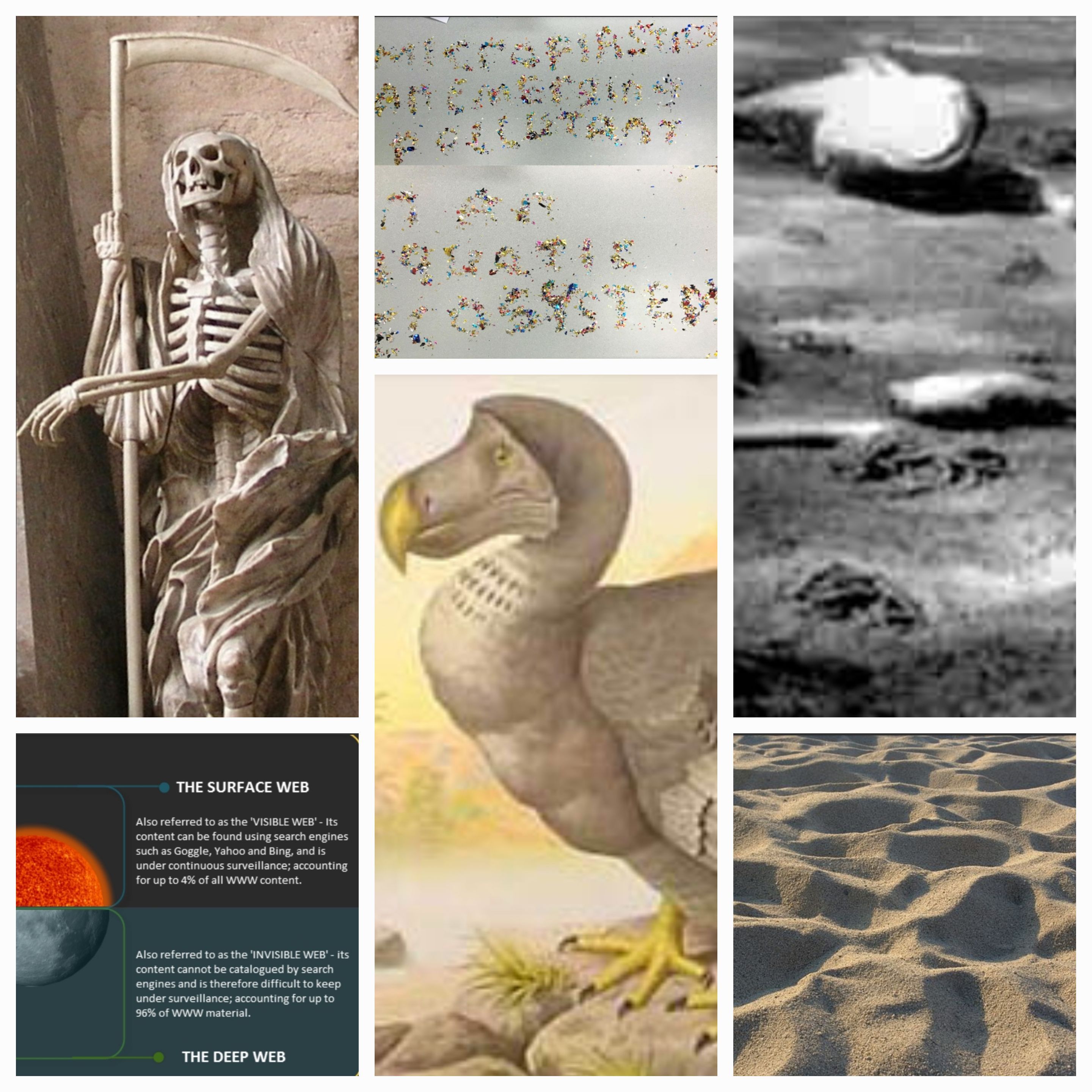 The Disturbing Truths We Can’t Unlearn: A Deep Dive into Facts You Wish You Didn’t Know