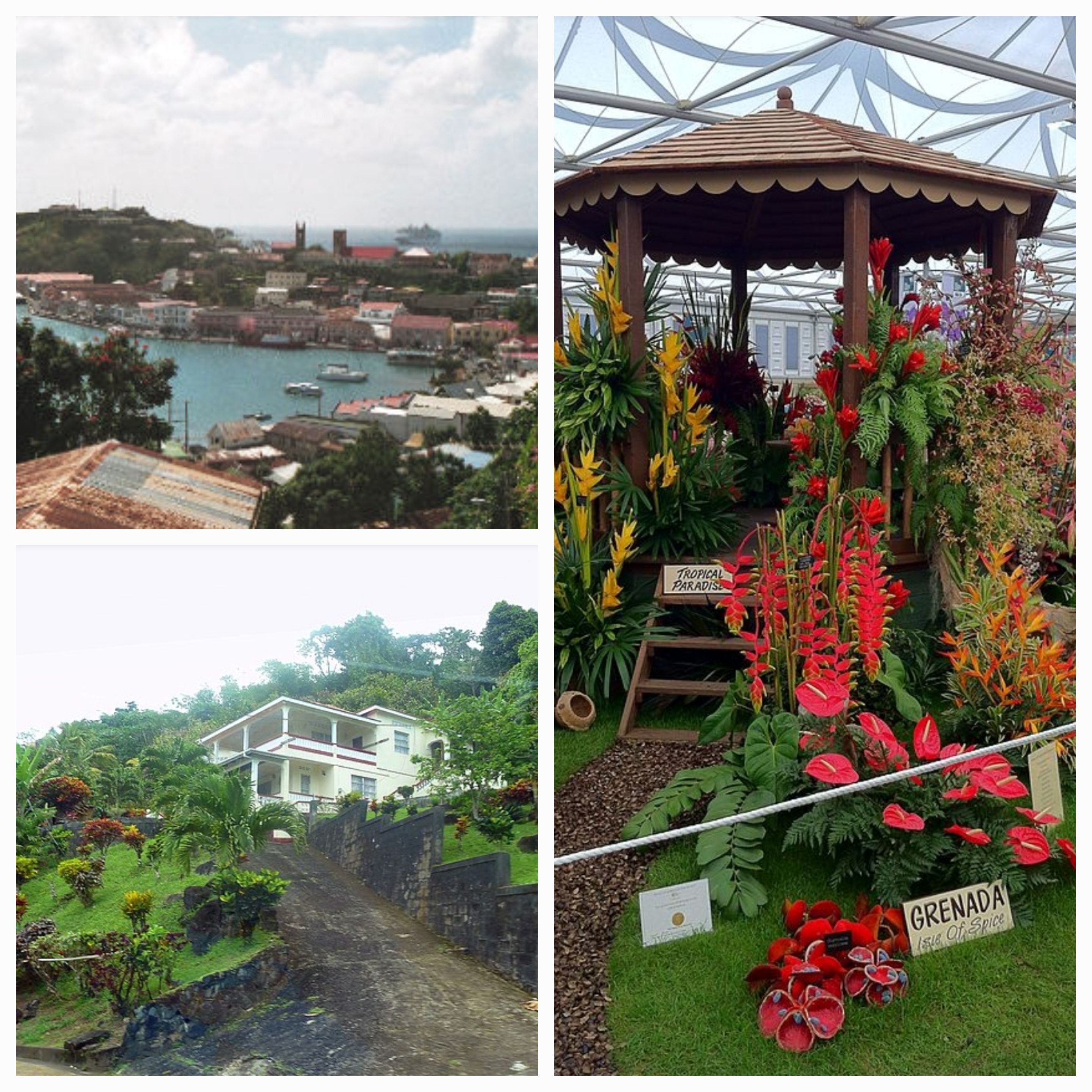 Discovering the Heart of Grenada: The Life and Legacy of Isabella Grace Thompson