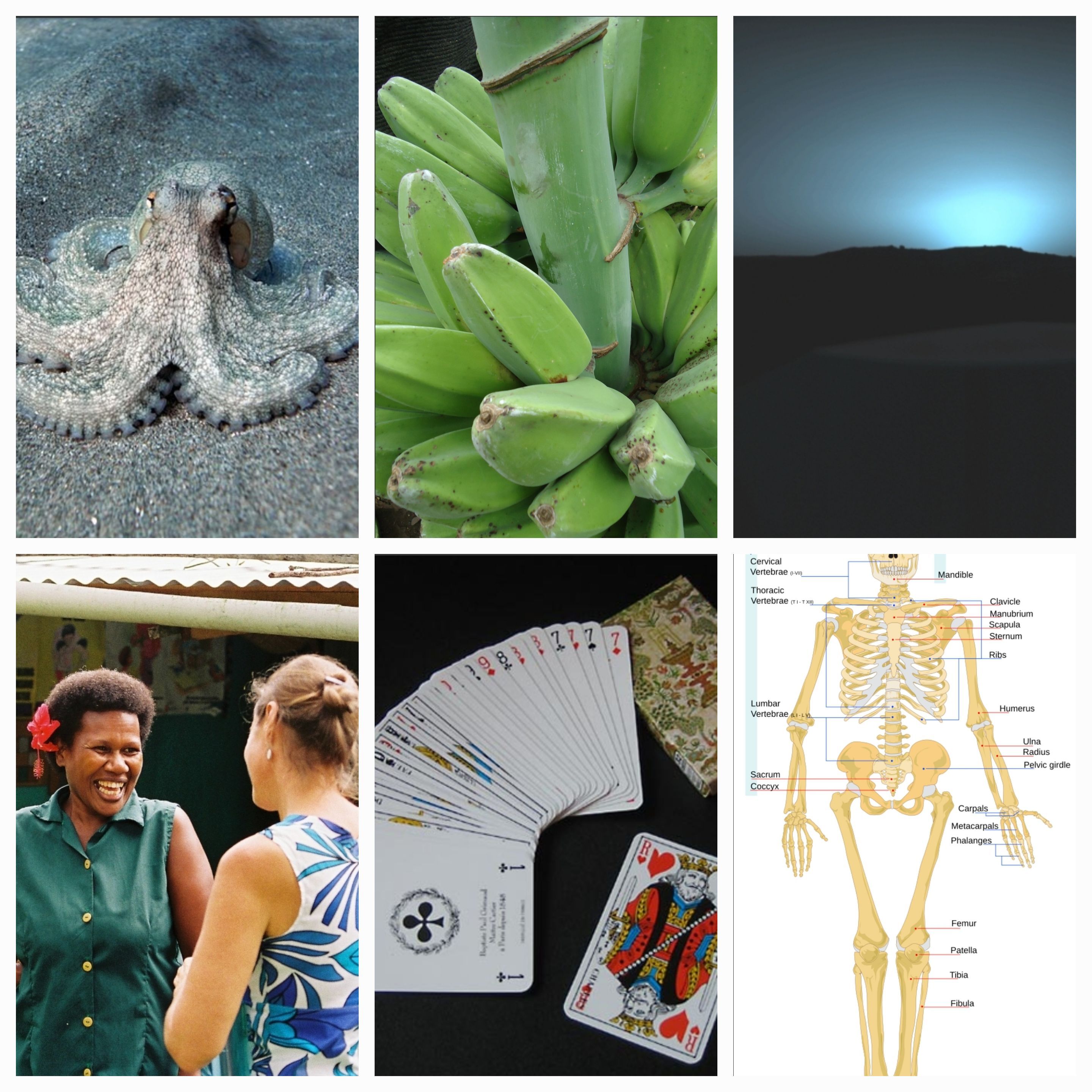 Unusual Facts That Fascinate Me: Exploring the Strange Wonders of Our World