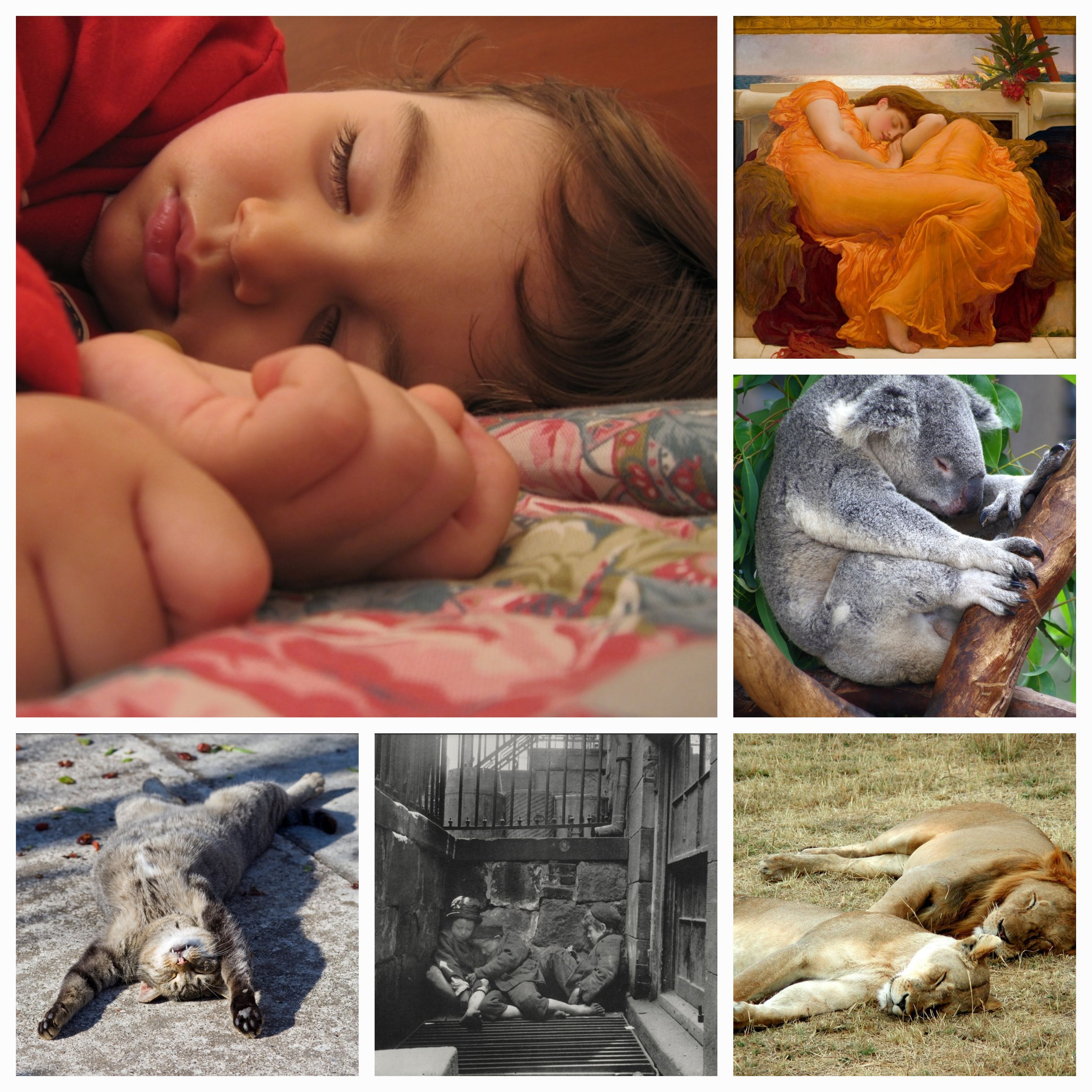 Unlocking Limitless Time: What Would You Do Without the Need for Sleep?