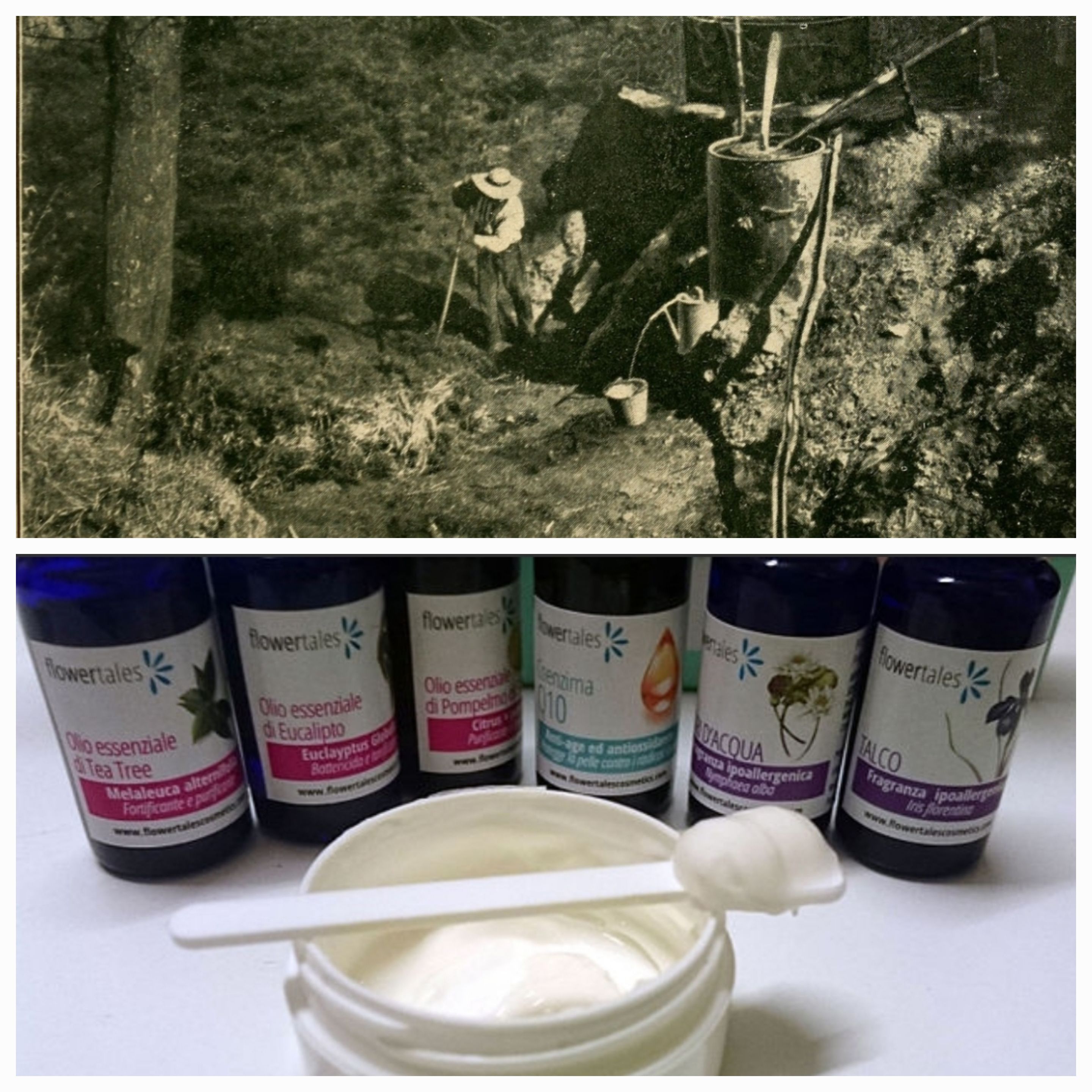 Aromatic Alchemy: A Journey Through Senses, Memory, and Shared Humanity