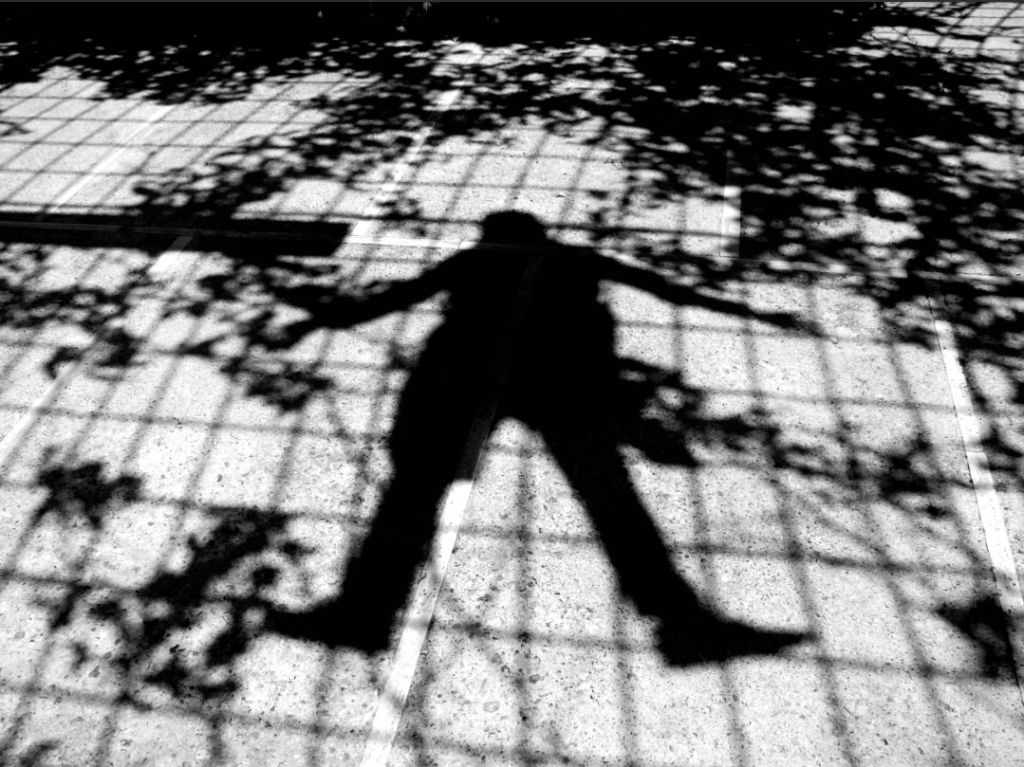 Shadows: A Poetic Dance of Light, Grids, and Reflection&nbsp;#Poetry