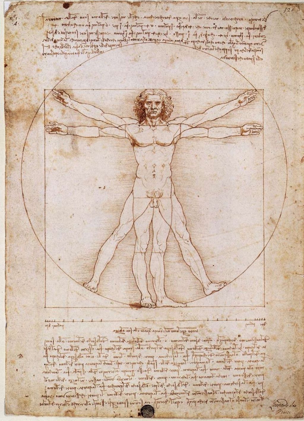 Are We Truly Homo Sapiens? The Wisdom Crisis in Humanity’s Race Toward Power and&nbsp;Progress