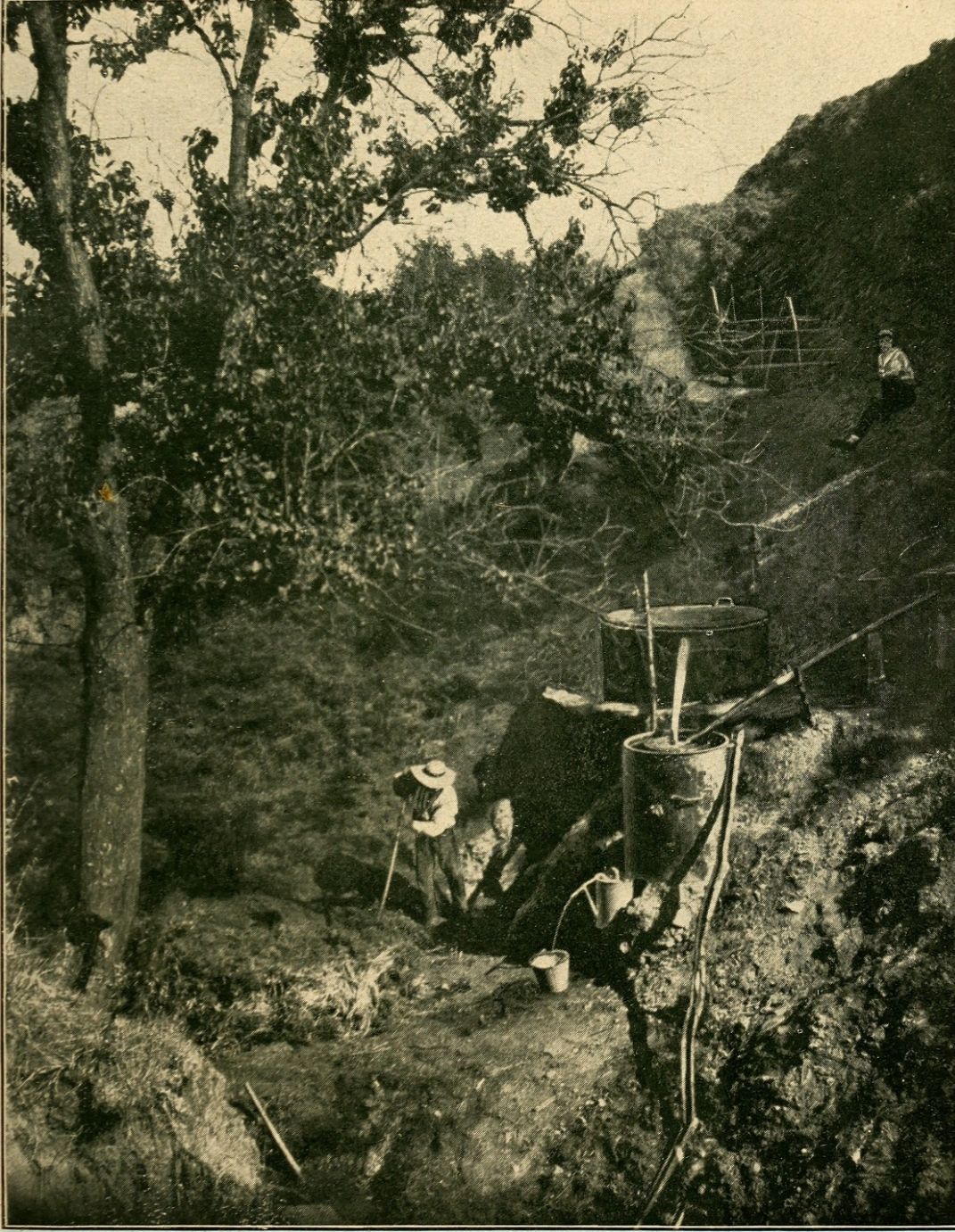 Alchemy of the Hills: A Poetic Ode to Distillation and Labor