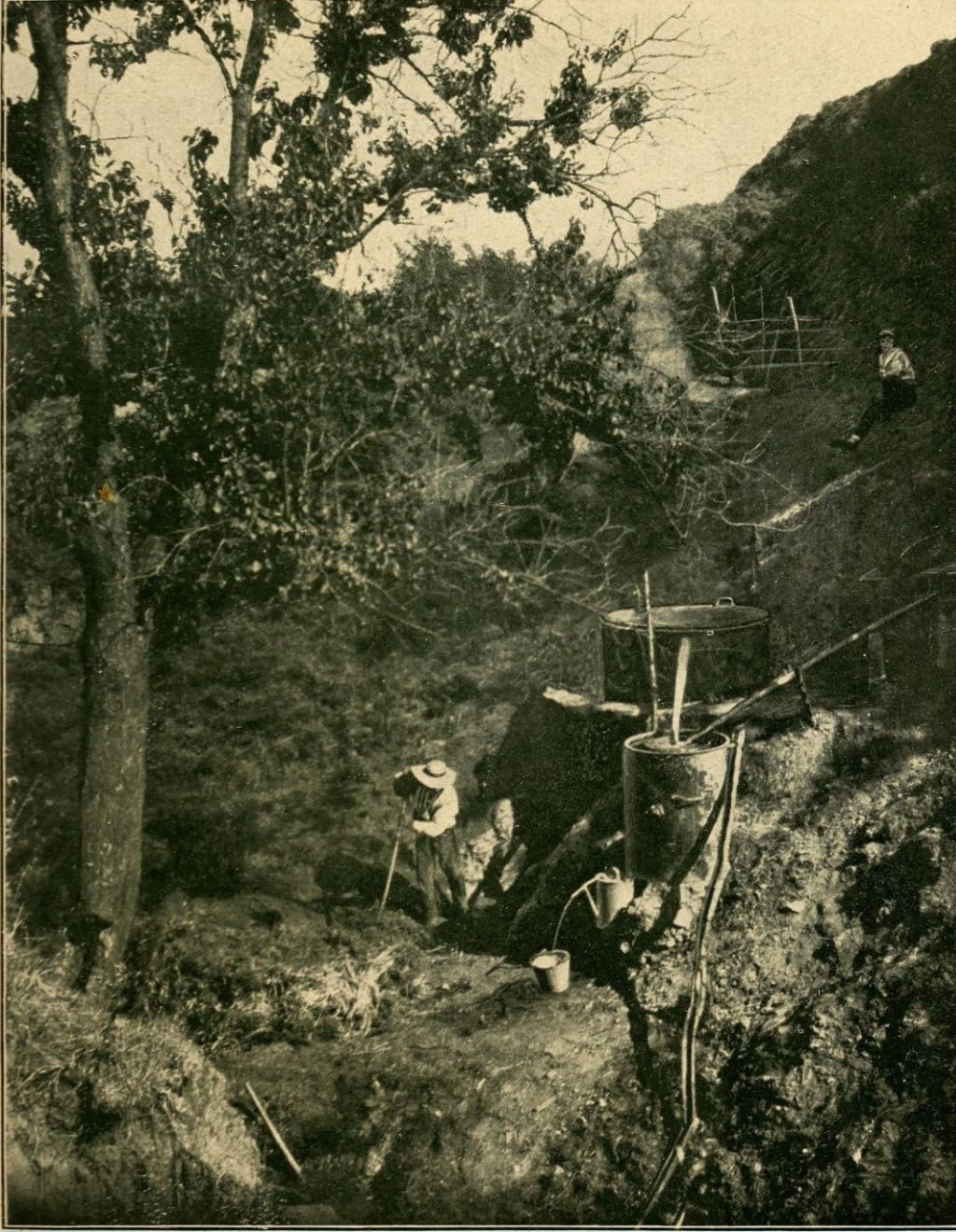 Alchemy of the Hills: A Poetic Ode to Distillation and&nbsp;Labor