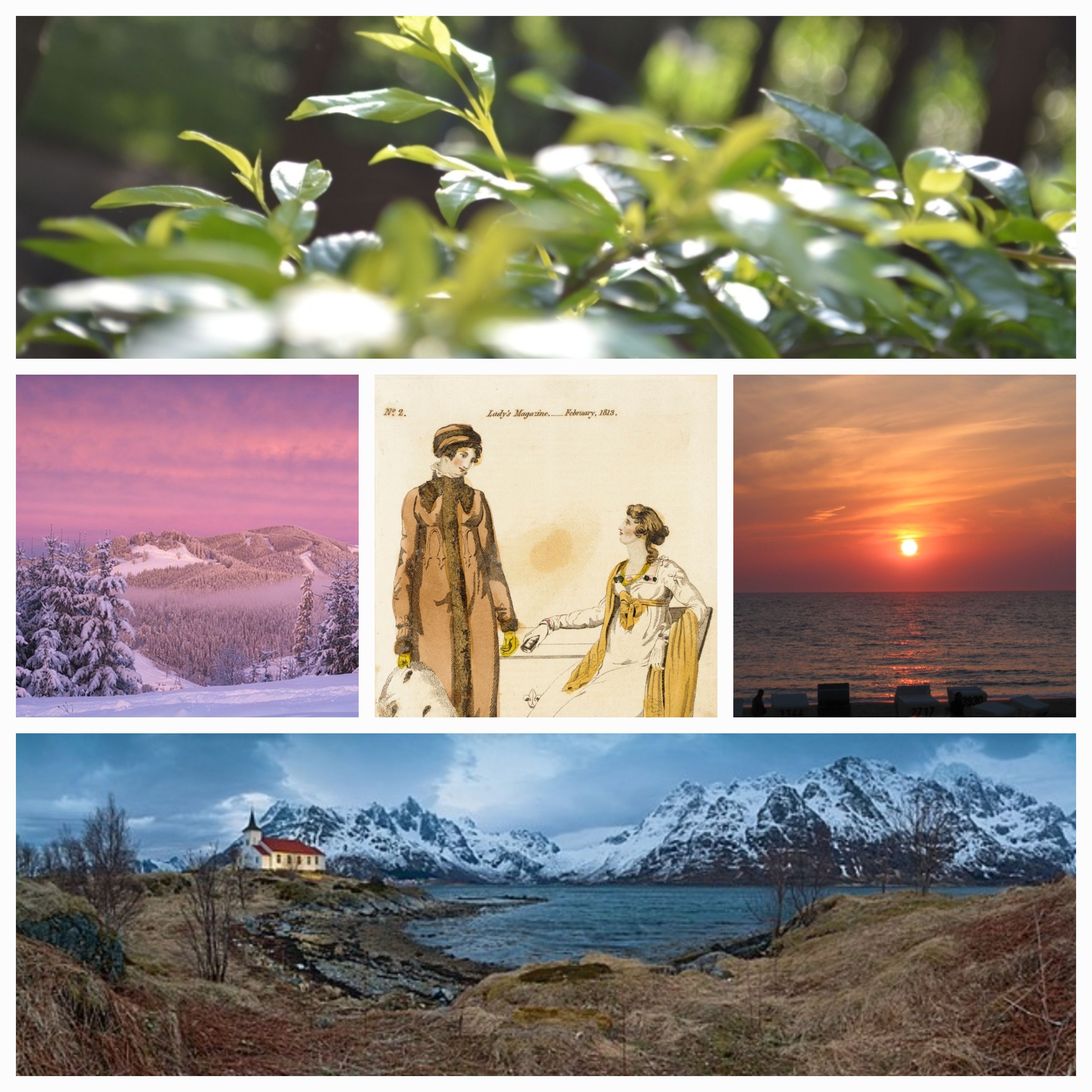 Am I More of a Night or Morning Person?: A Poetic Exploration and Conclusion of Time and My Identity