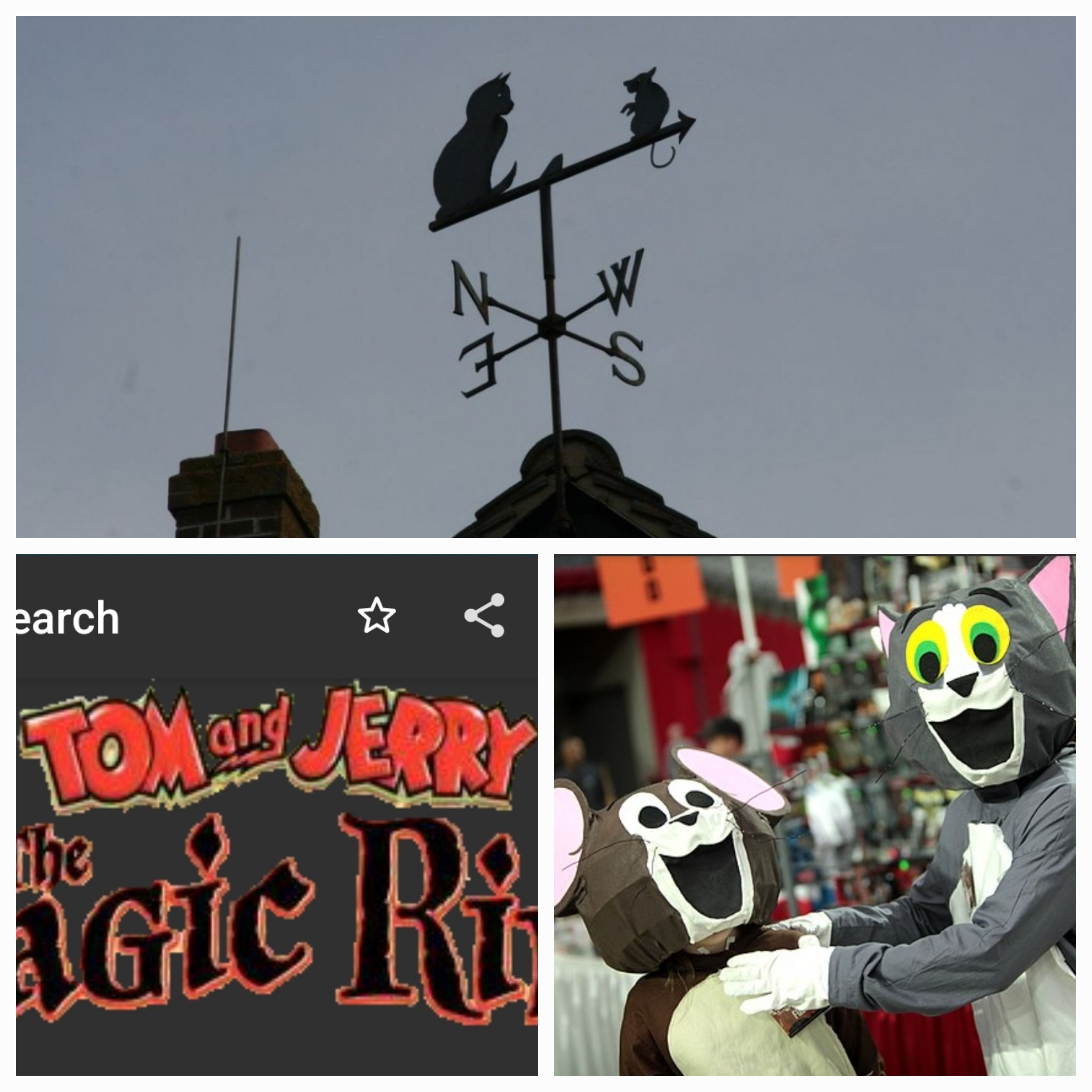 Exploring the Magic of Cartoons: What’s My Favorite and Why It Matters