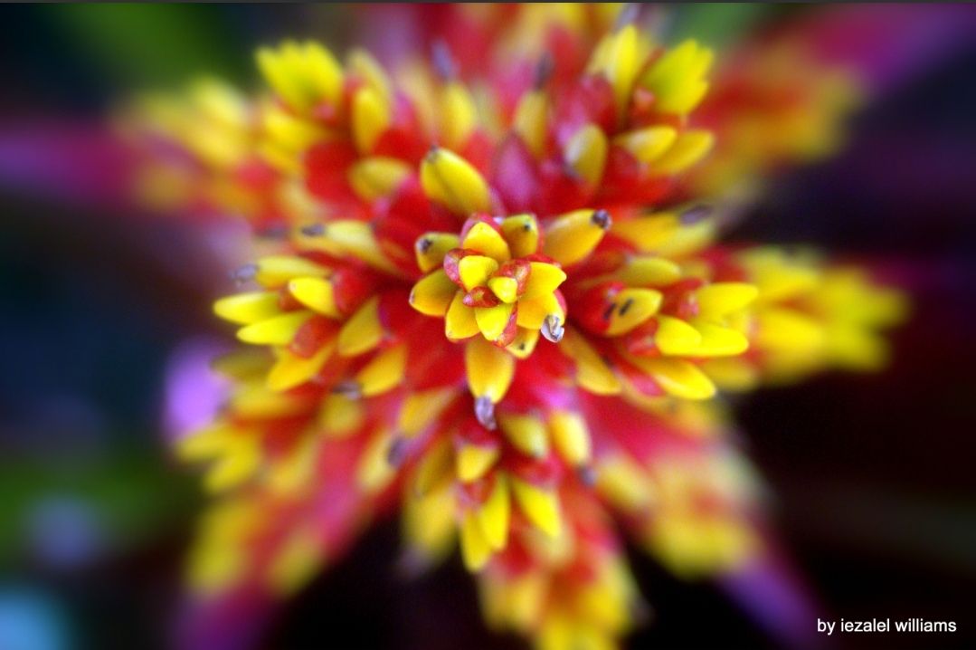 The Geometry of Us: Avant-Garde Poetry on Love, Time, and Cosmic Connection