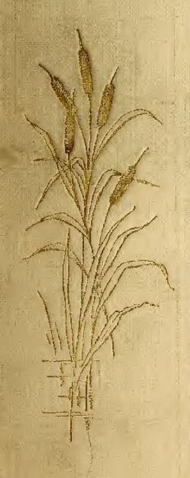 The Greatest Gift: A Journey Through Reflections