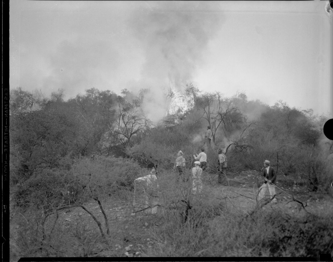 Los Angeles Fires 2025: Unraveling the Climate Crisis, Human Impact, and Road to Resilience