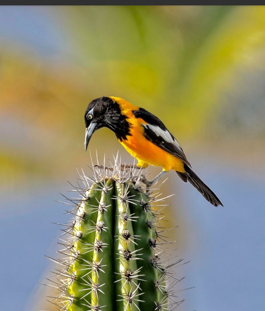 A Piece of Advice that Helps  me Live Through the Tough Days #WriteAPageADay #600