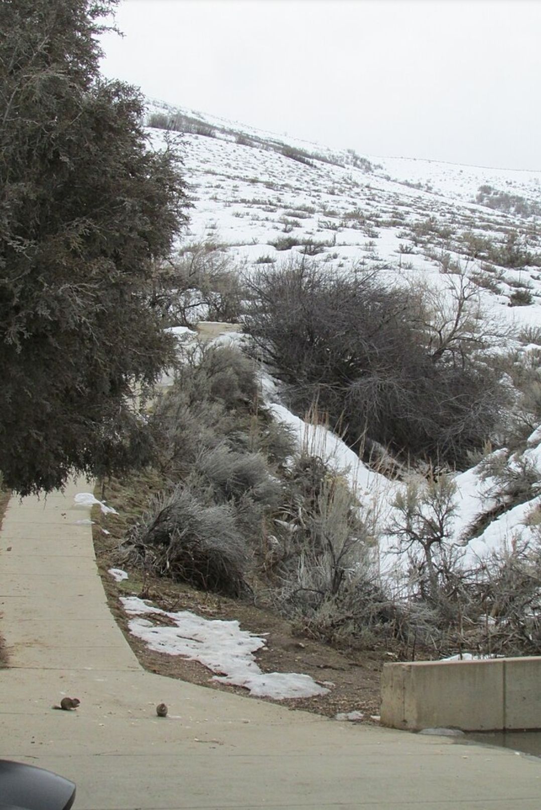 Echoes of Eternity: A Journey Through Time and Silence