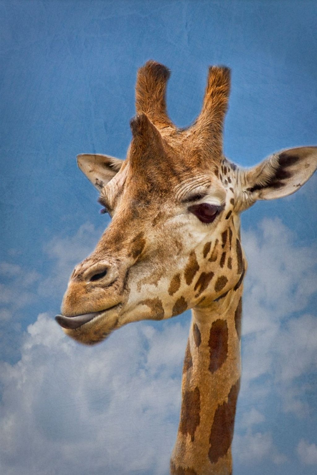 The Alchemy of a Professional Daydreamer @Blogchatter #HireMe #WriteAPageADay&nbsp;#650