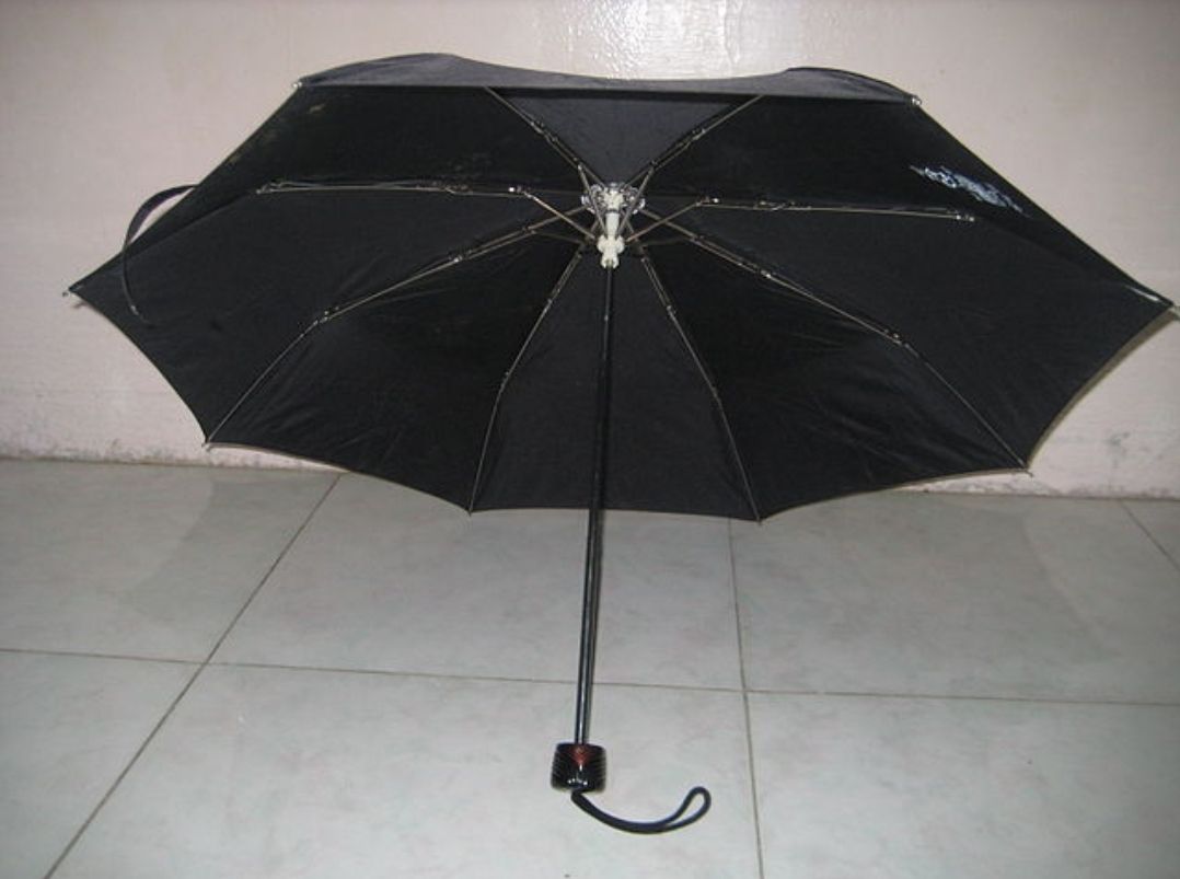 The Odyssey of My Wayward Umbrella