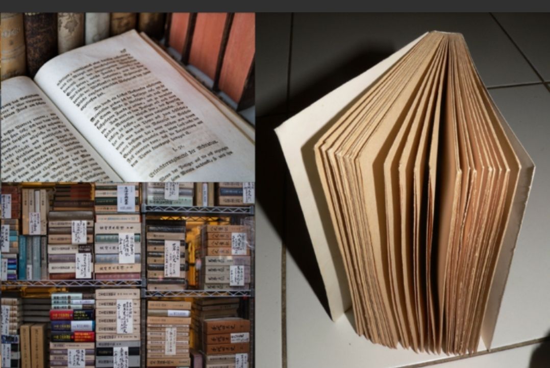 Books That Made Me Go ‘What??’ An Odyssey of Literary Chaos