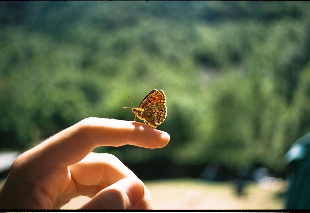 The Unfolding of Silence: A Poetic Journey into Acceptance and Clarity&nbsp;#poetry