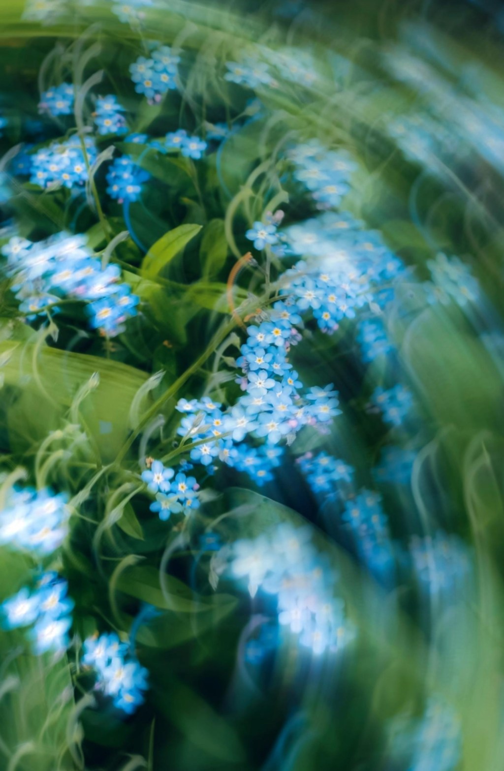 What is My Favorite Type of Weather?&nbsp;#poetry