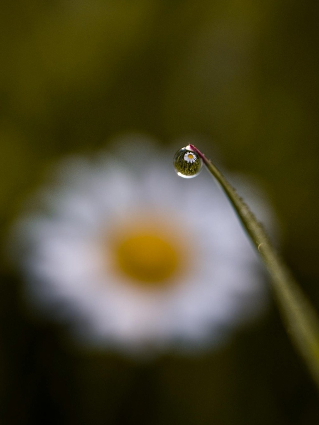 A Season That Forgot Its Name&nbsp;#poetry