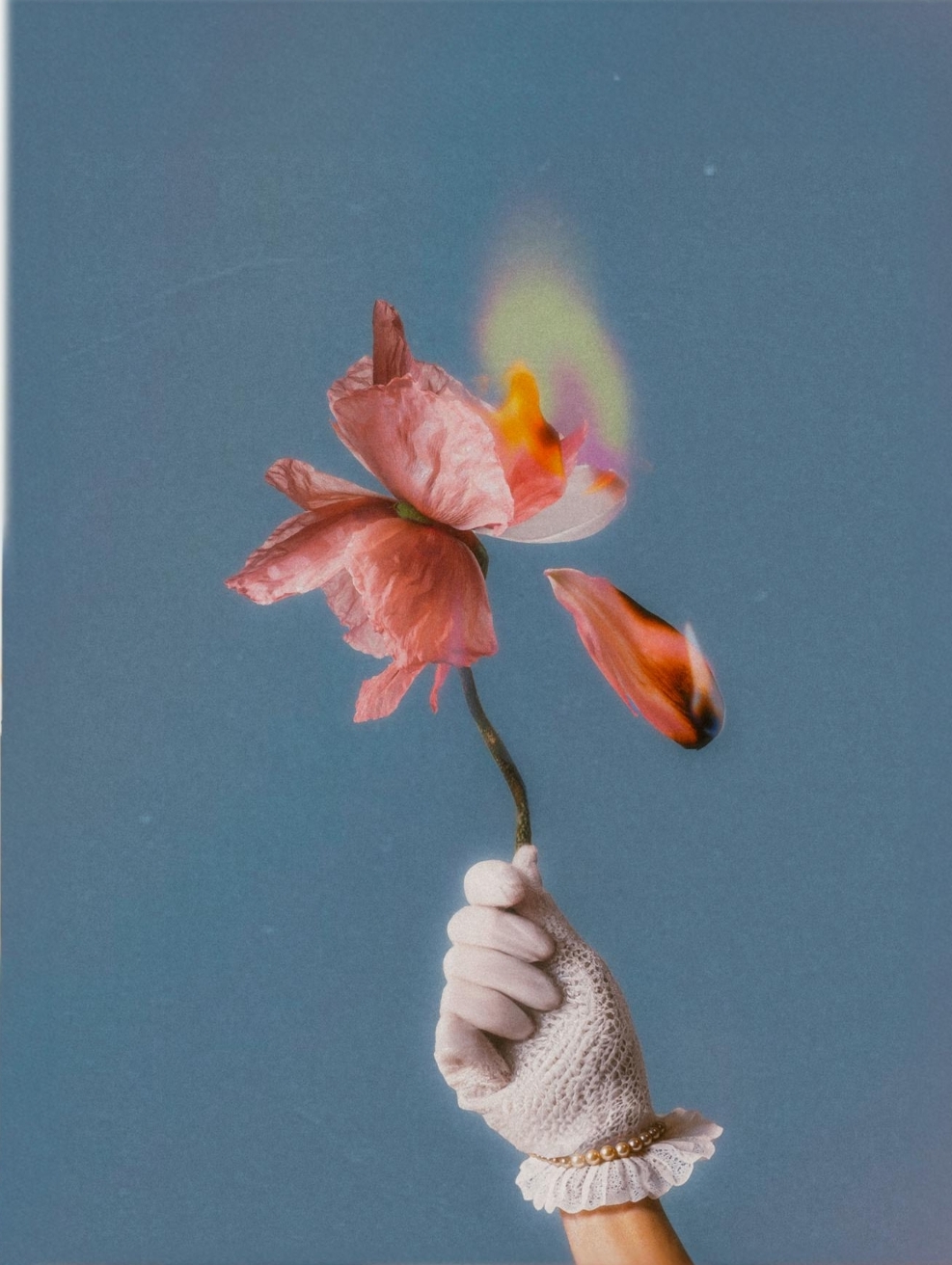 Juxtaposition: My High School Lexicon Unfurling