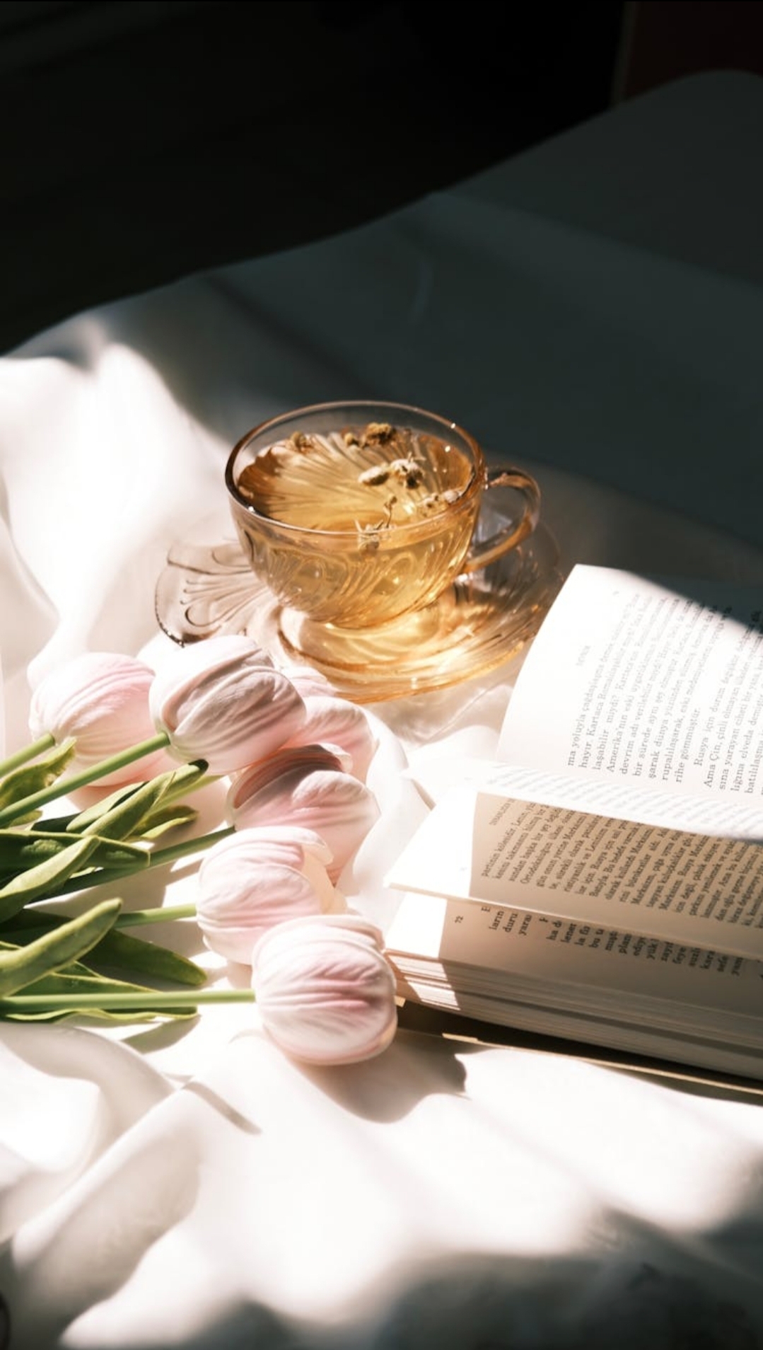 Liturgy of Letting: (Letters written to the twilight