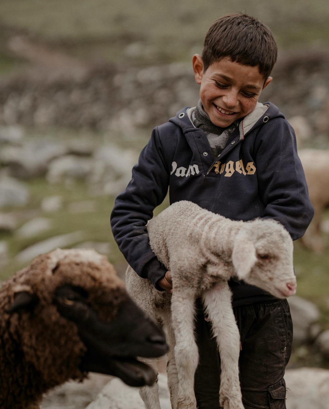 Vessel of the Vanquished