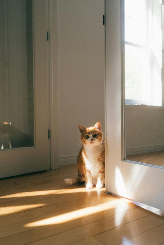 X-Files of Unrealized Guilt and Unfound Love (a symphony in misplaced keys) #BlogchatterA2Z #poetry