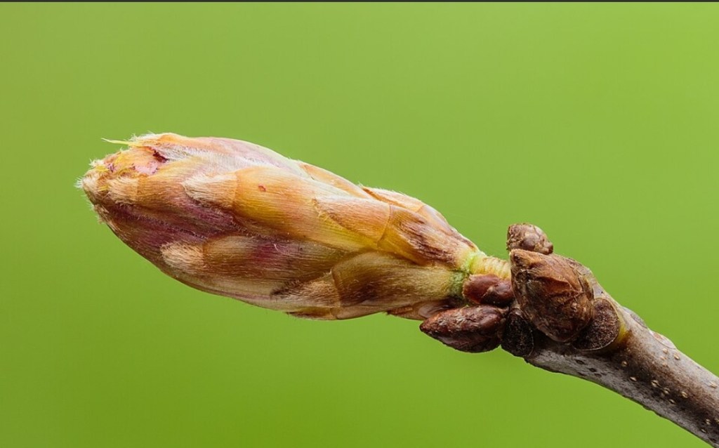 404: Love Not Found #poetry