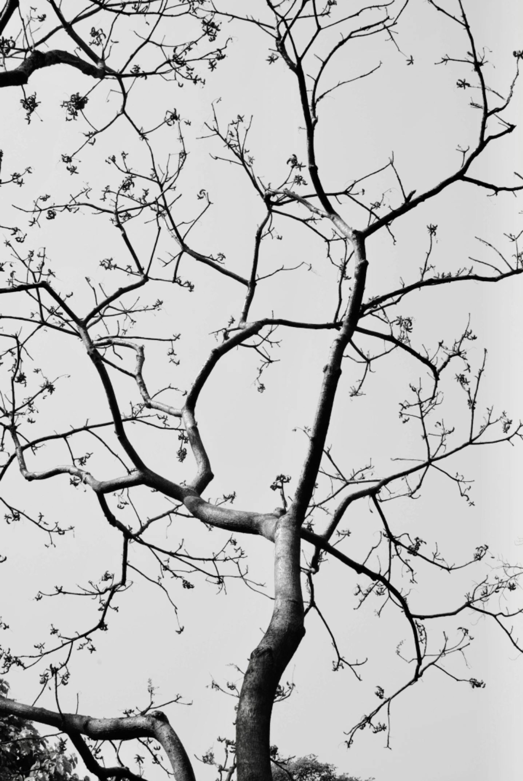 The Room Where All Meet