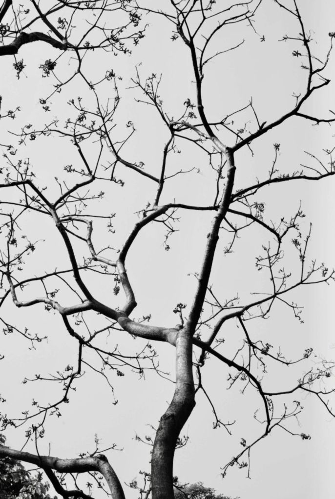 Cartography of the Hands: in Touch and Memory