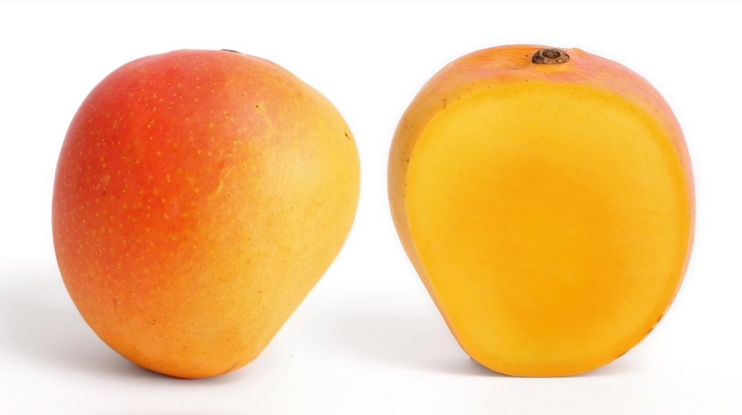 Cacophony of Fruits: A Dialogue Between Tongue and Ghost