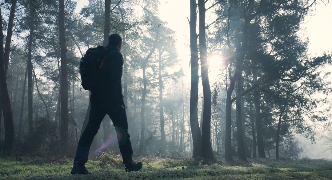 The Museum of Me: My Uncollected Collections