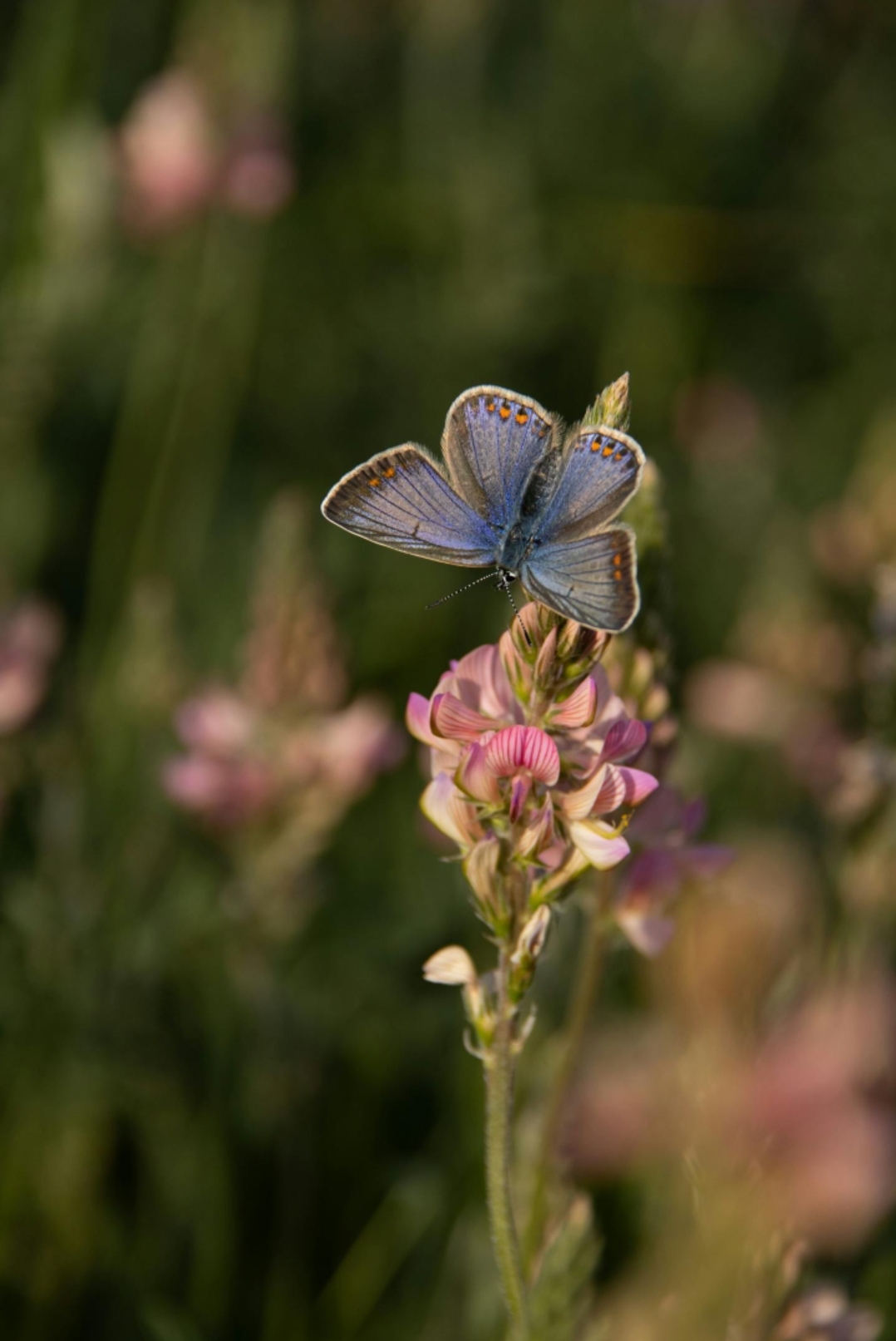 Tomorrow Is a Compass Made of Salt
