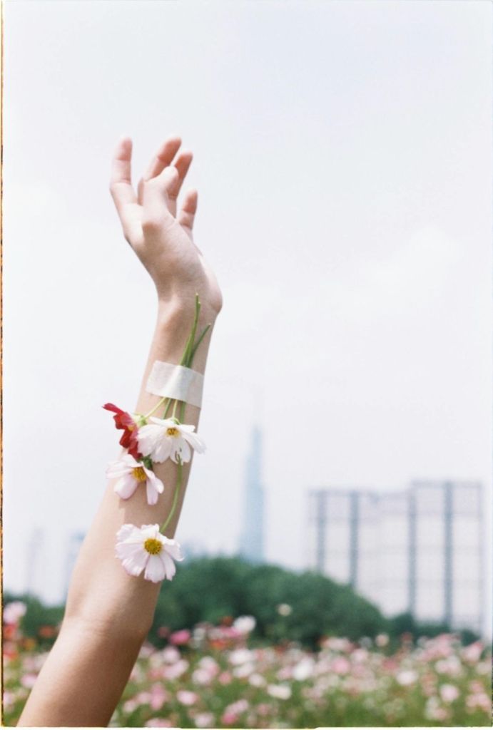 Inheritance of Oddities: A Catalogue of the Self