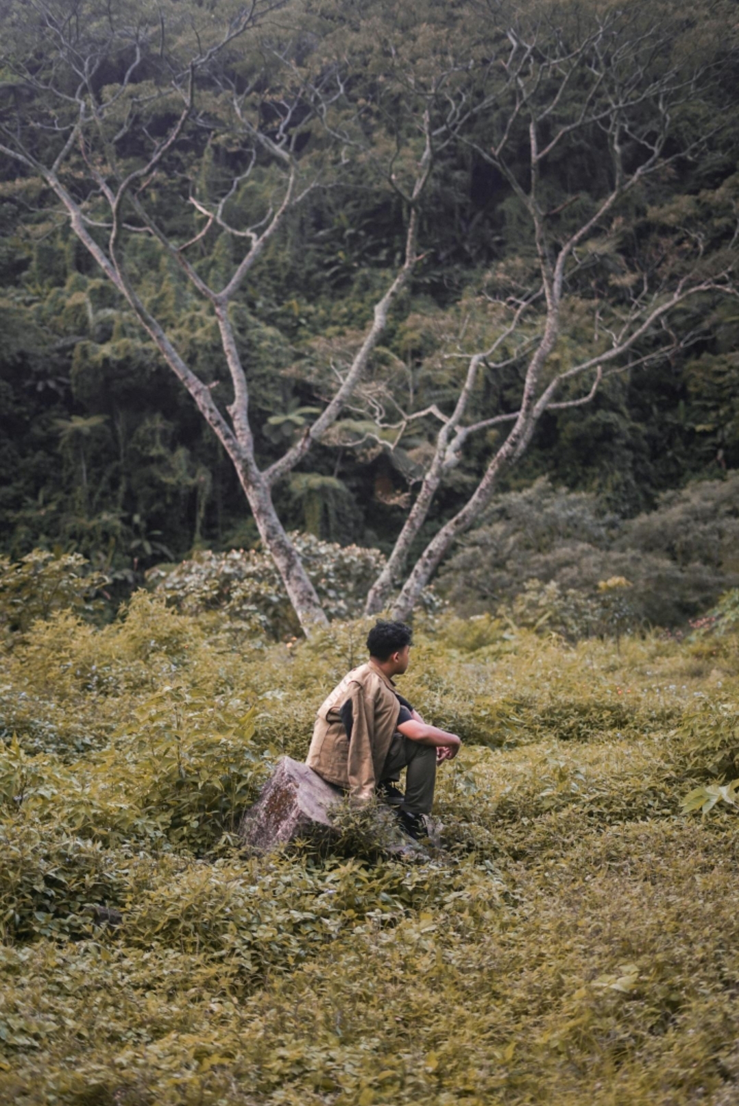 The All I Carry: A Poetic Meditation on What It Means to ‘Have It All’