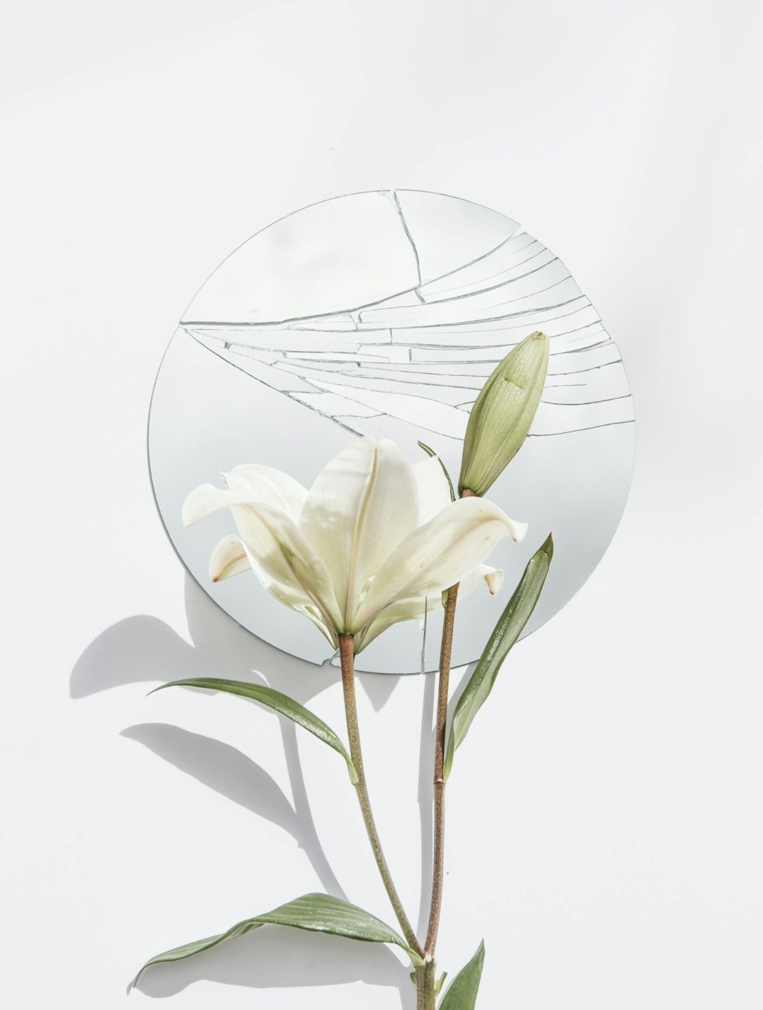 What Are You Good At?A Confession in Light and Dark