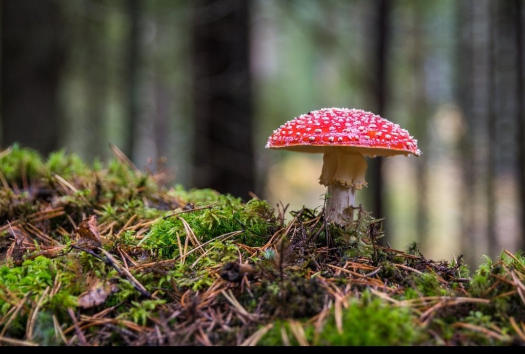 Light Between the Silence: A Poetic Triptych on Tenderness, Grief, and the Quiet Fight to Stay&nbsp;Whole