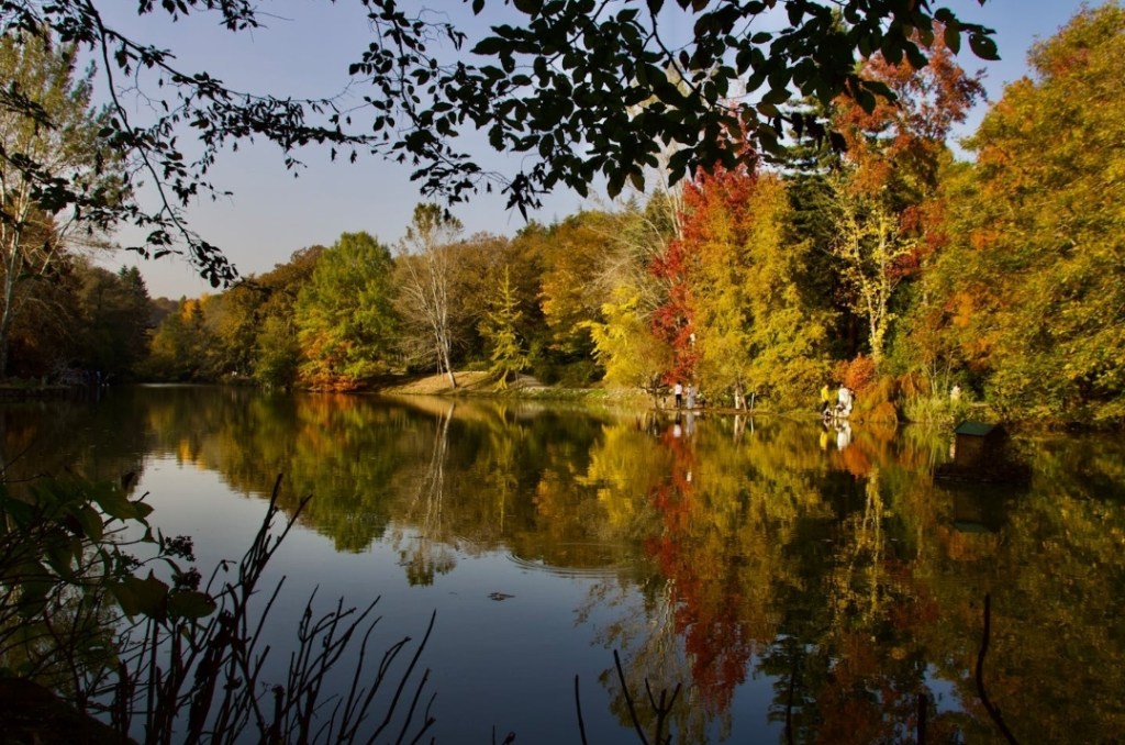 The Light That Finds You&nbsp;#poetry