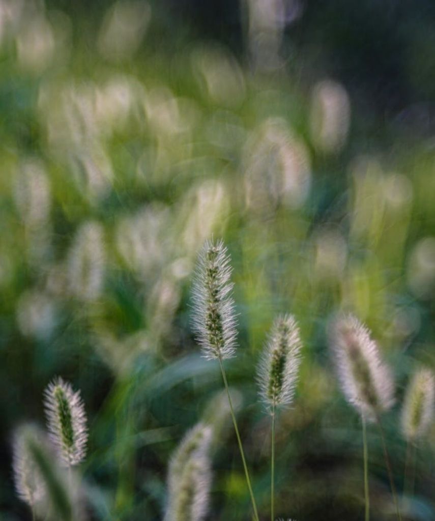 The Archaeology of Self: Excavating the Self #poetry