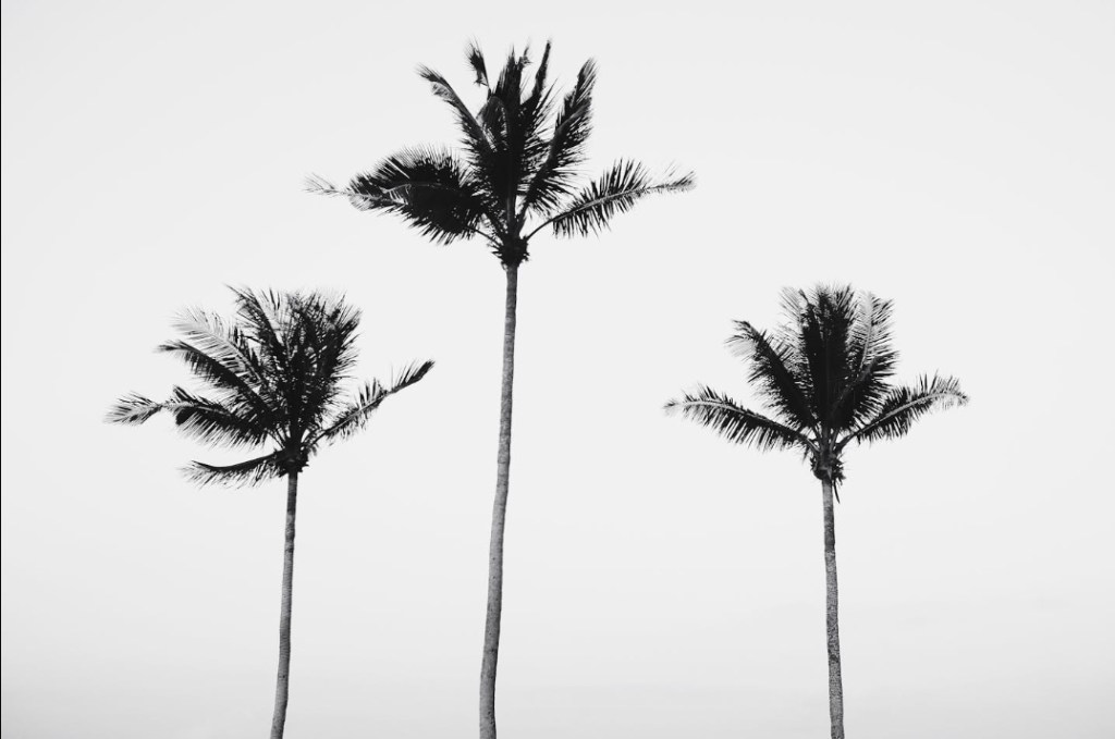 Through the Wreckage — A Journey from Numbness to Awakening&nbsp;#poetry