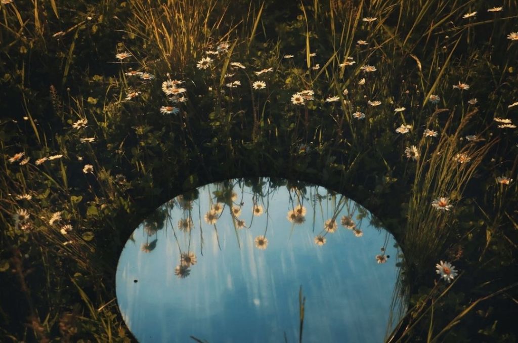 The Trait I Treasure Most: A Meditation on Compassion