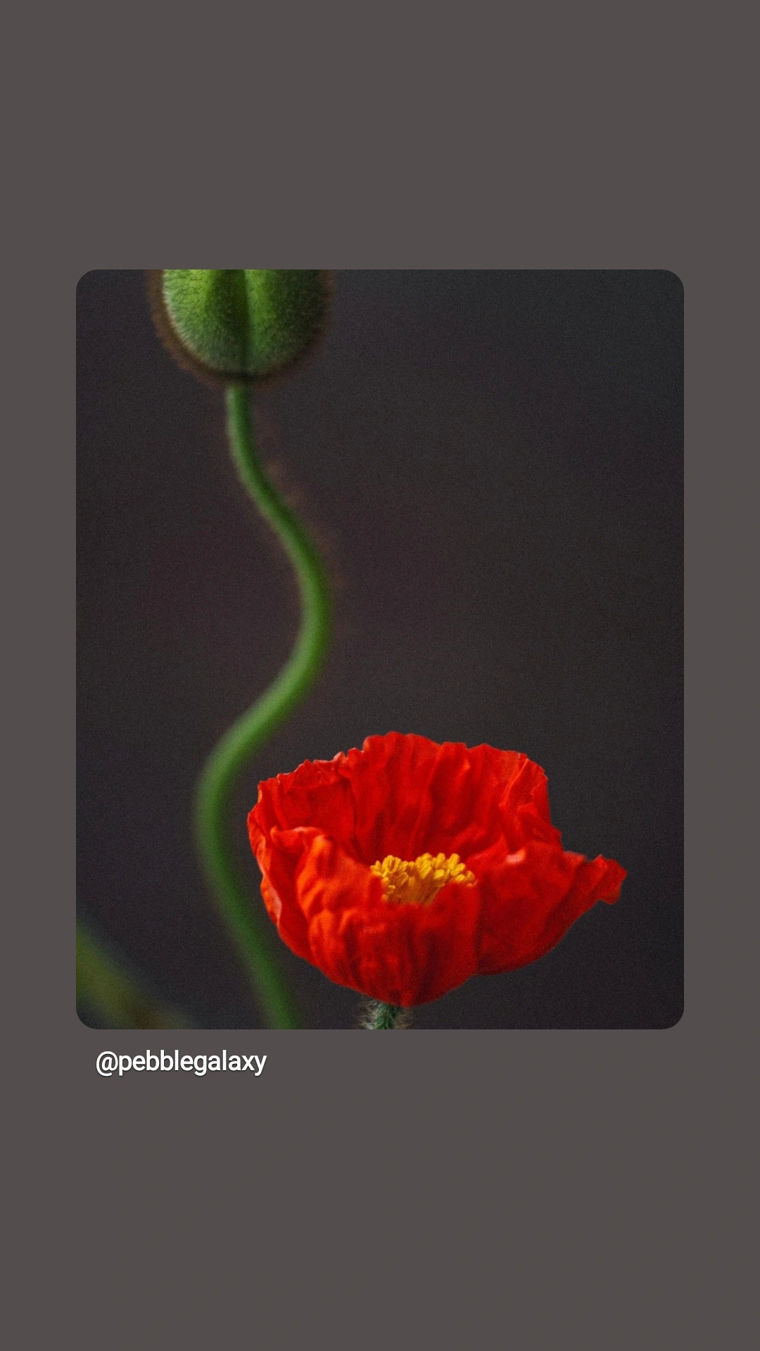 When I Changed My Mind About Strength