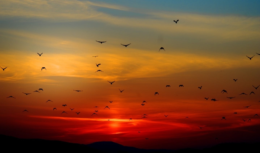 The Art of Reasoning with Hope