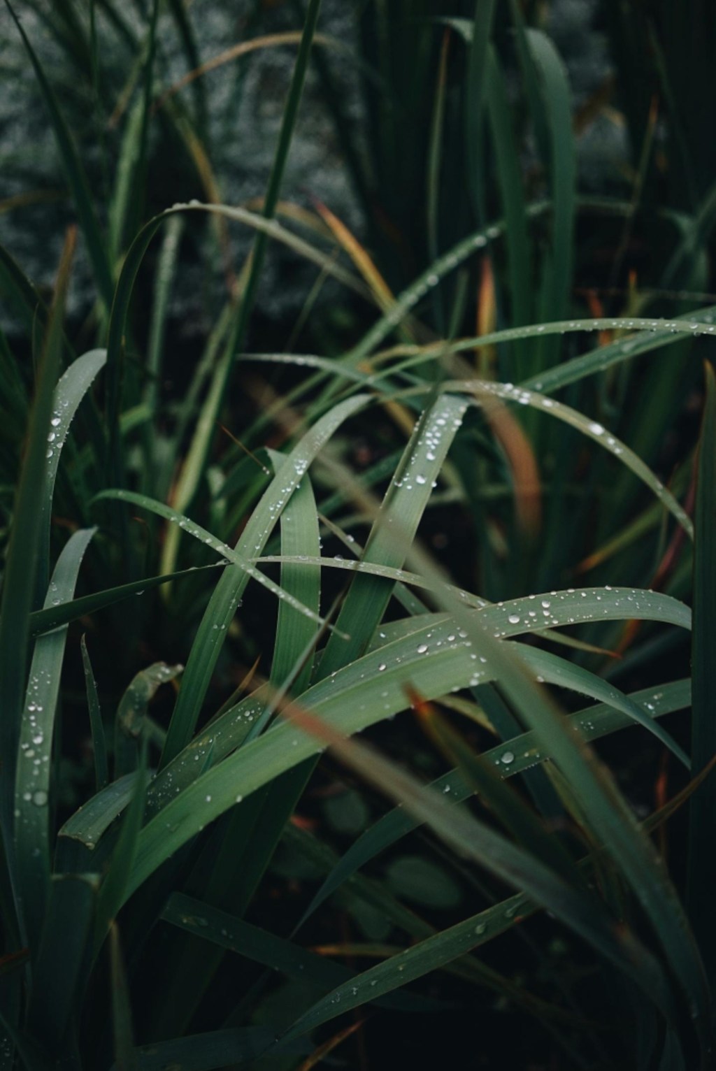 The Weight of Letting&nbsp;Go