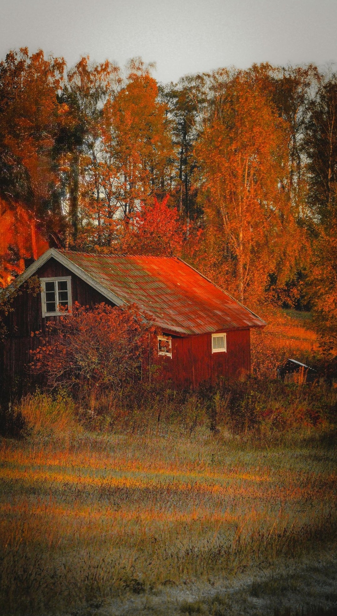 When Tomorrow Learns My Name: What Will My Life Be Like in Three Years?